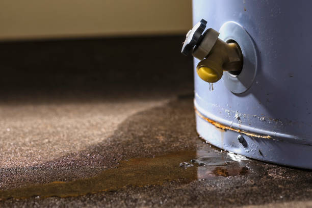 Best Ceiling water damage repair  in Union Beach, NJ