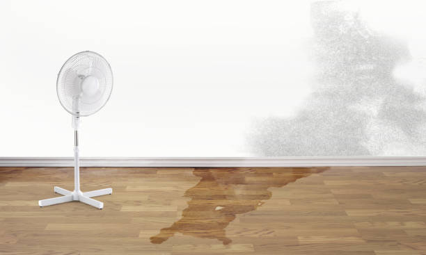Best Water damage restoration near me  in Union Beach, NJ