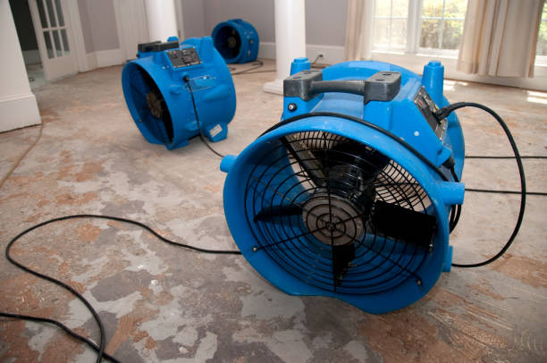 Best Local water damage restoration  in Union Beach, NJ