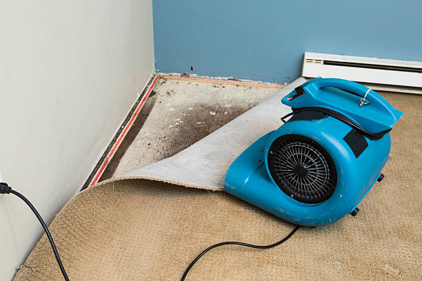 Best Water damage restoration experts  in Union Beach, NJ